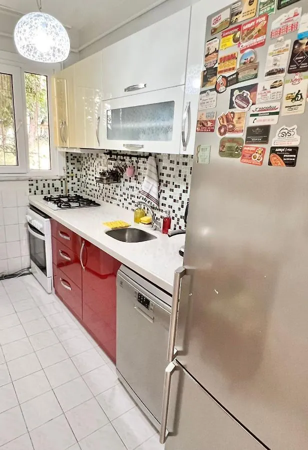 Very Close To Bosphorus, Beautiful 2 Rooms 1 Salon Flat, Excellent Location Istanbul Turkey