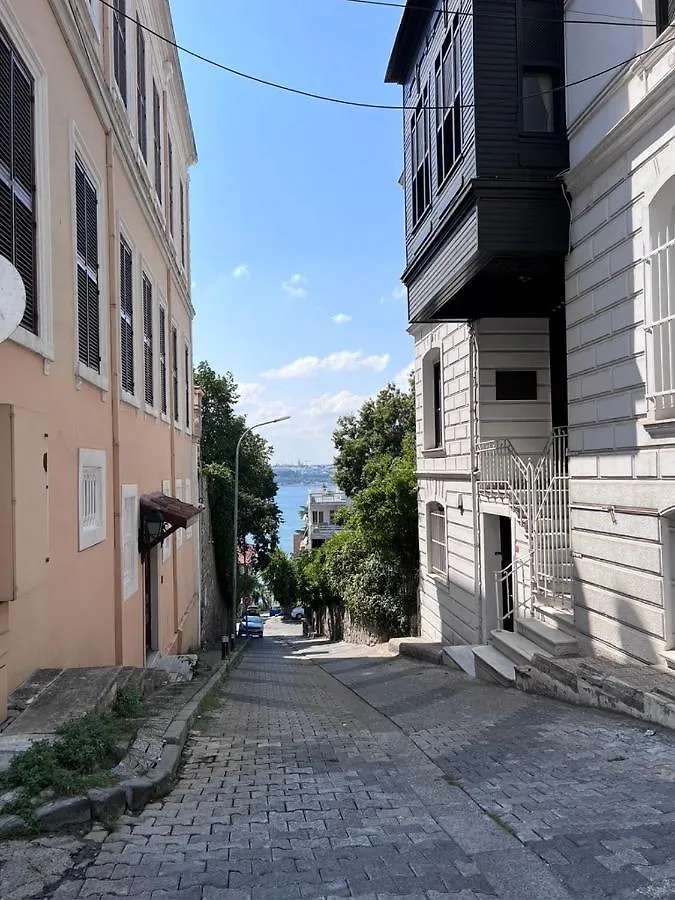 Very Close To Bosphorus, Beautiful 2 Rooms 1 Salon Flat, Excellent Location Istanbul 0*,  Turkey