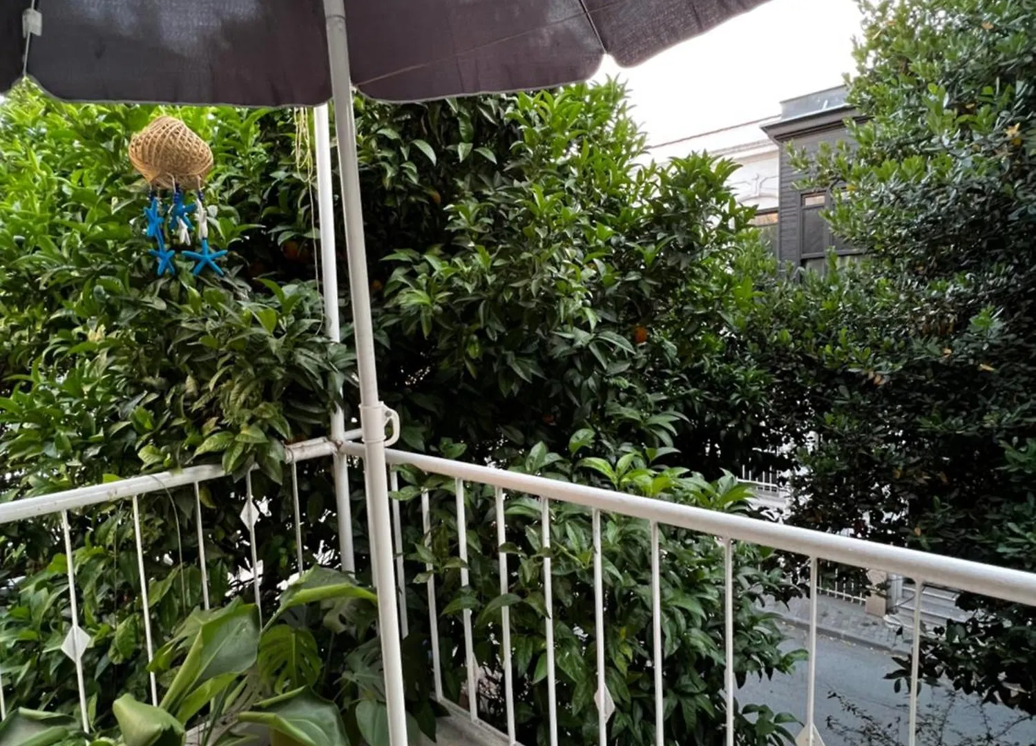 Very Close To Bosphorus, Beautiful 2 Rooms 1 Salon Flat, Excellent Location Istanbul Turkey