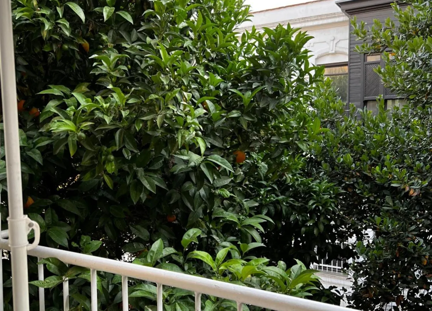 Very Close To Bosphorus, Beautiful 2 Rooms 1 Salon Flat, Excellent Location Istanbul